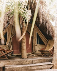 a tent with chairs and a palm tree in the background